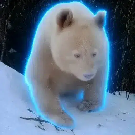卧龙