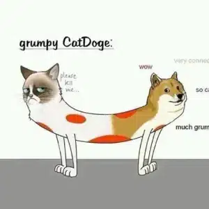 Grumpy CatDoge logo