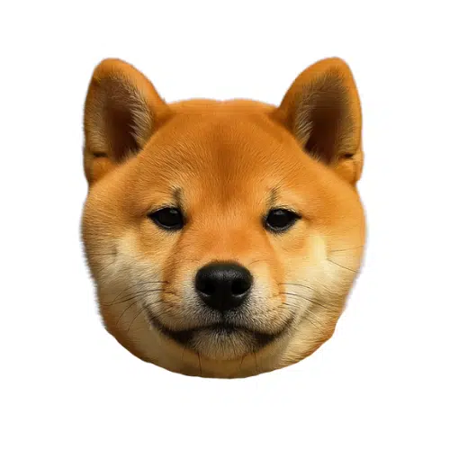 Koinu