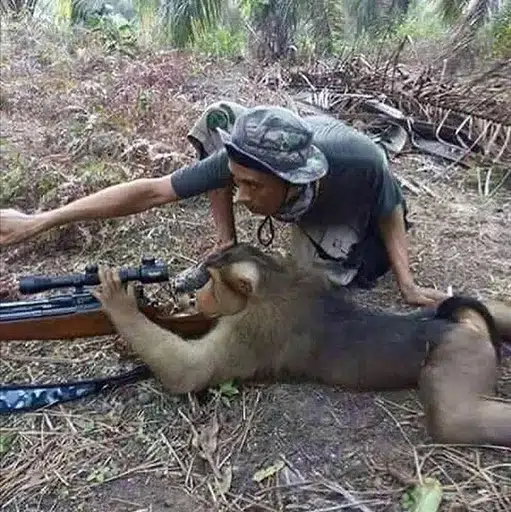 sniper