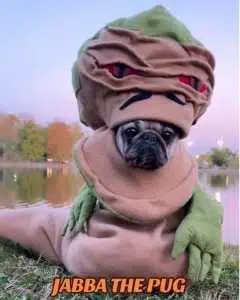 jabba token