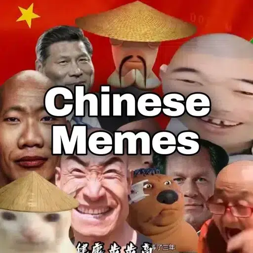 中国模因