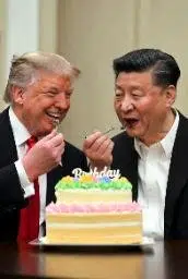 蛋糕