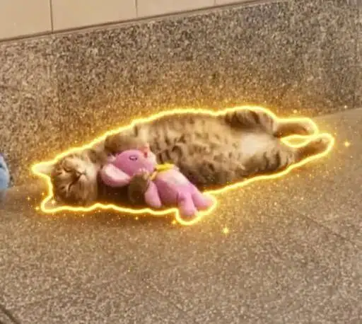 쓰어 우언