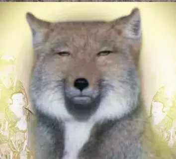 Meme Fox