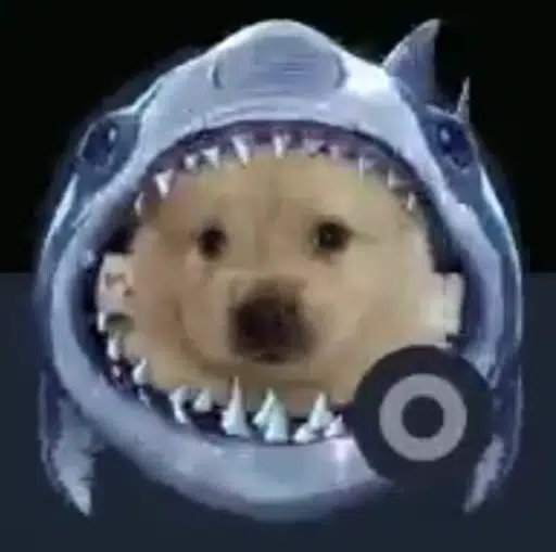 Tempo