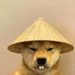 dǒulì