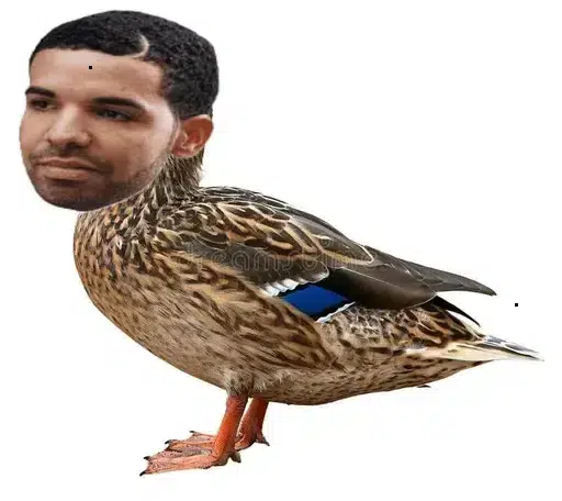 DRAKE