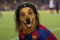 Ronaldinu