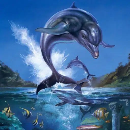 Ecco the Dolphin