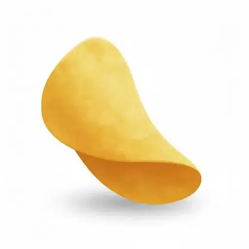 Chip
