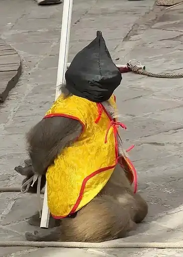 为姚泽伸张正义