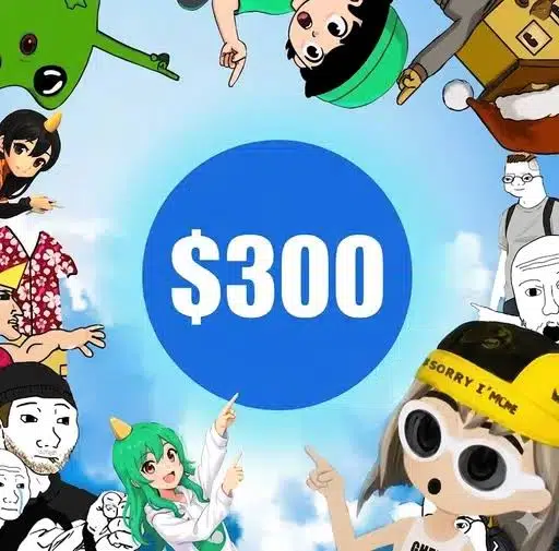 $300 and a dream