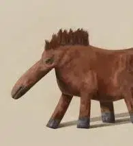 honse