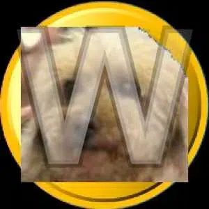 Wang-nyan logo