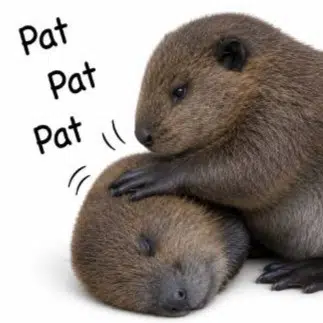 Pat