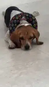 MADDY