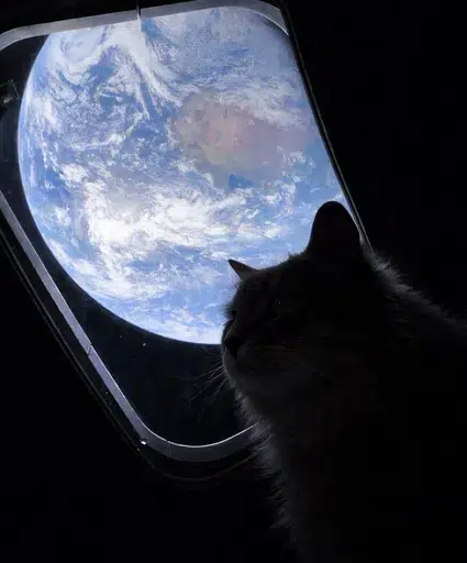 SIDELINED