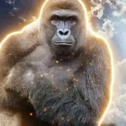 RIP Harambe