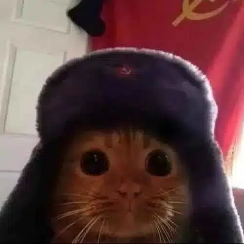 Soviet Cat logo