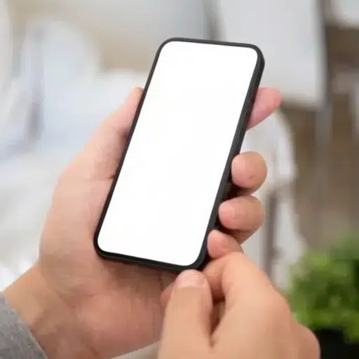 The Phone logo