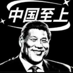 CHINAMAXXING