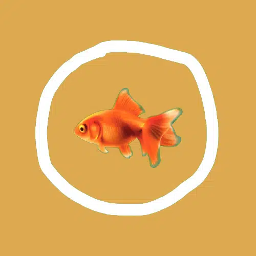 GOLDFISH