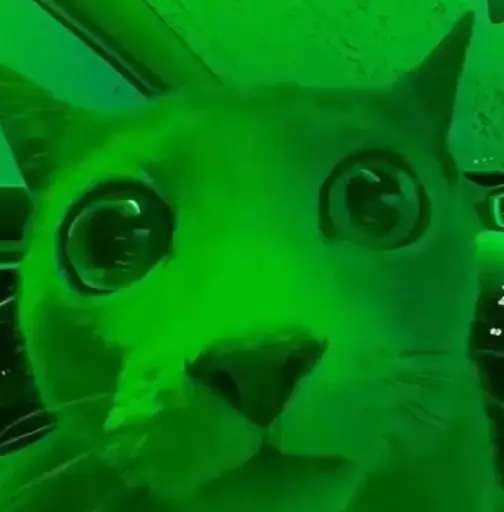 pumpcat token logo