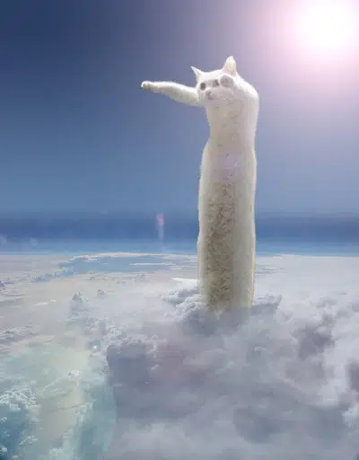 LongCat