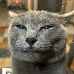 MrBoobs