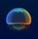 Jelly