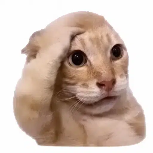 fuck logo