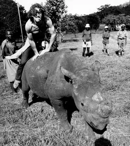 RHINOS