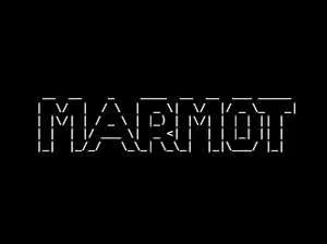Marmot