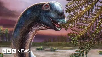 Nagatitan chaiyaphumensis