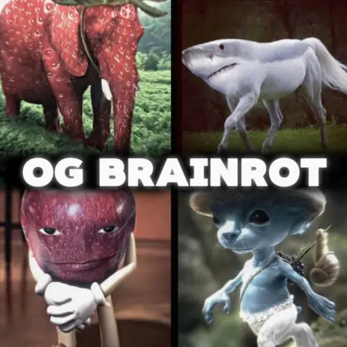 ogrot