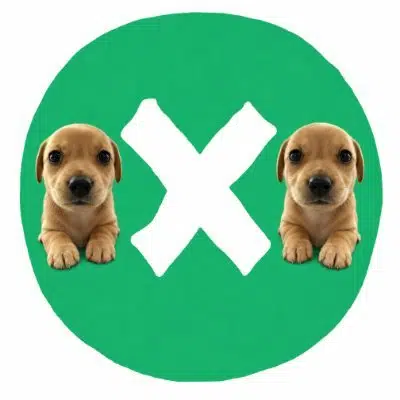 2XDOG