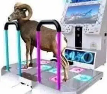 DDR Ram