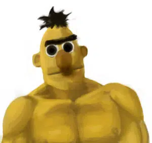bert
