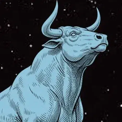 BULL