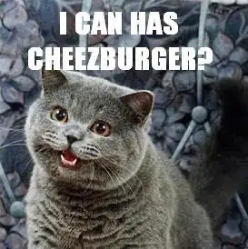 CHEEZBURGER