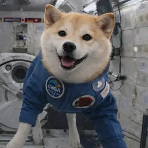 Tiangong Space Mascot