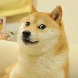 doge