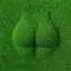 grass