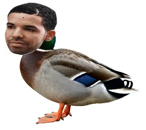 Drake