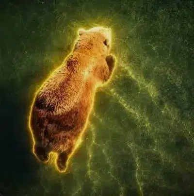 The Floating Bear logo