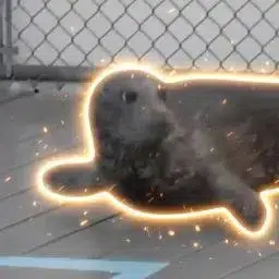 Justice For Benny