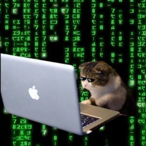 It's Coded