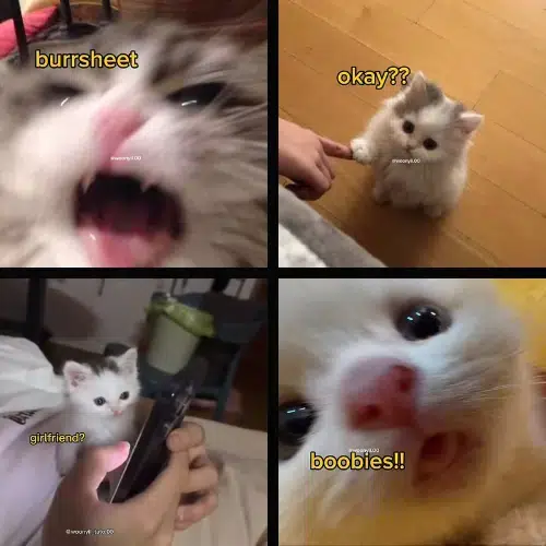 YK