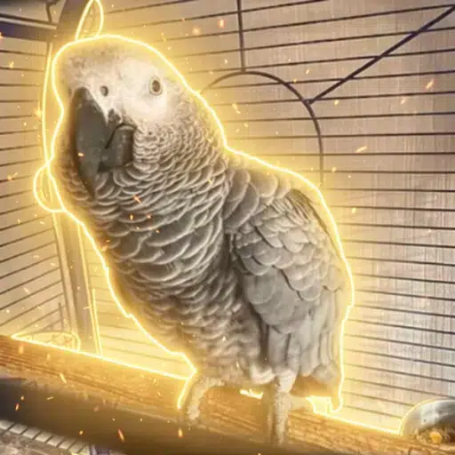 Return to the cage logo